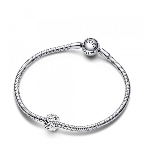 clip-with-studs-wide-792746c00