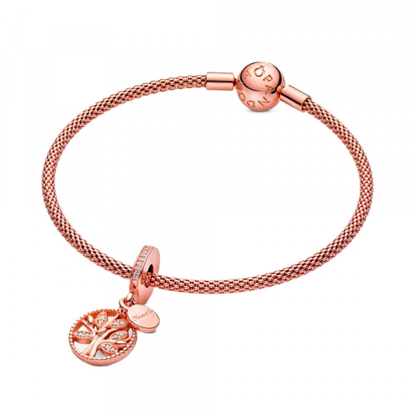 charme-pendentif-heritage-familial-781728cz