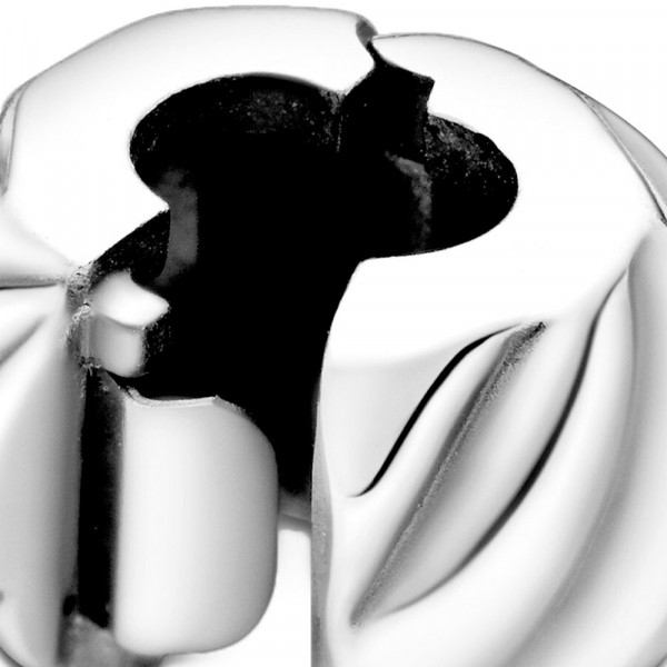 polished-feather-clip-charm-791752