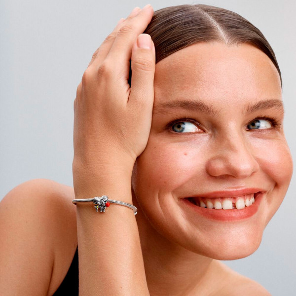 disney-pixar-carl-et-ellie-up-charm-793649c01