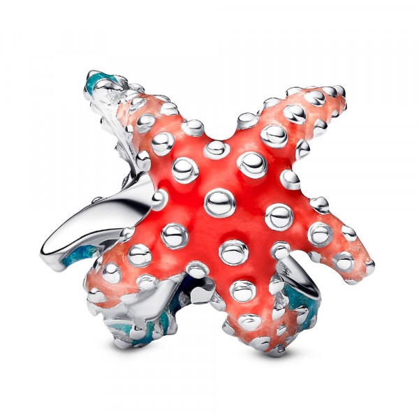 ciondolo-mini-stella-marina-793817c01