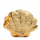 charm-mini-muschel-textur-764057c00