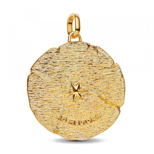 charm-medallon-grande-flechas-cruzadas-764084c01