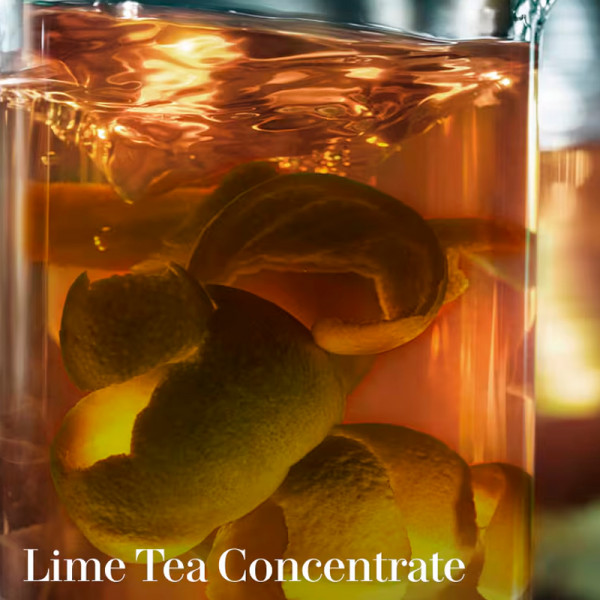 the-concentrate-versterkend-behandelingsserum