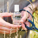 vetiver