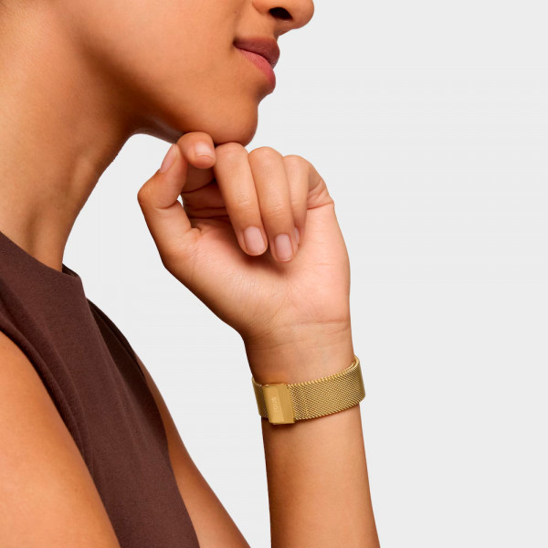 d-bear-party-analog-watch-with-gold-steel-bracelet