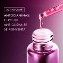 concentre-a-la-rose-noire-serum-intensywne-serum-lecznicze
