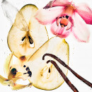 nude-vanilla
