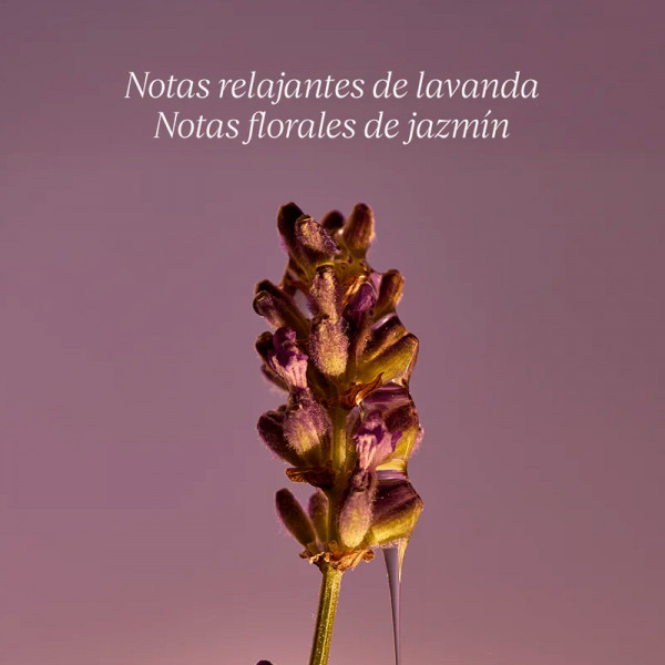 le-savon-lavande-lavender-liquid-hand-and-body-soap