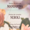 neroli-orchidee