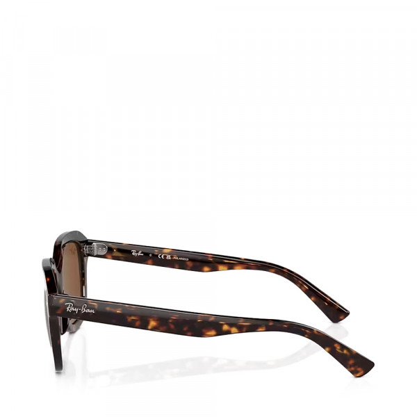 erik-sunglasses