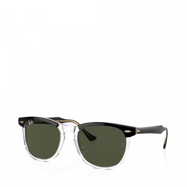 eagle-eye-sunglasses