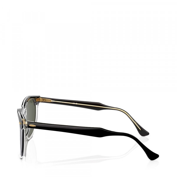 eagle-eye-sunglasses