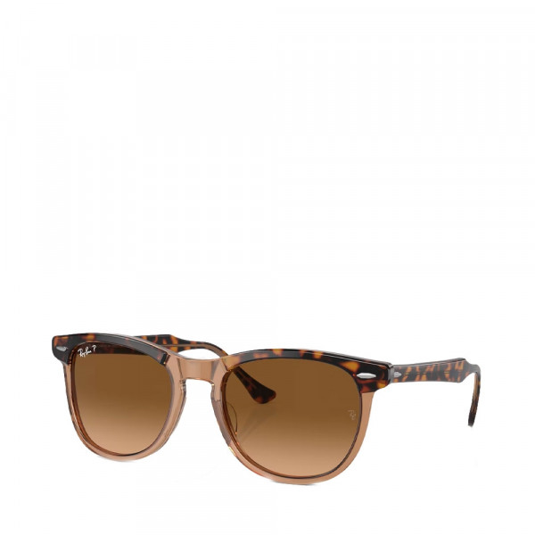 gafas-de-sol-eagle-eye-0rb2398-1292m2