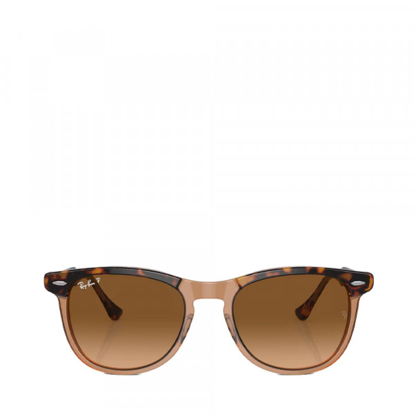 gafas-de-sol-eagle-eye-0rb2398-1292m2