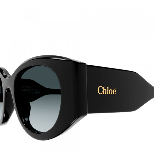 gafas-de-sol-ch0251s