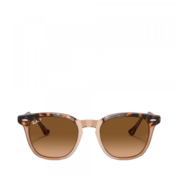 rb2298-hawkeye-sunglasses