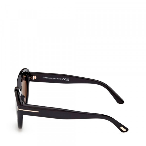 sunglasses-ft1316