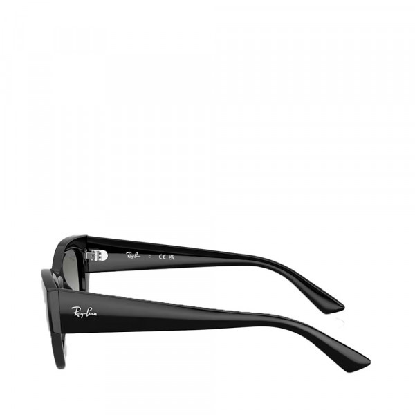 zena-0rb4430-sunglasses
