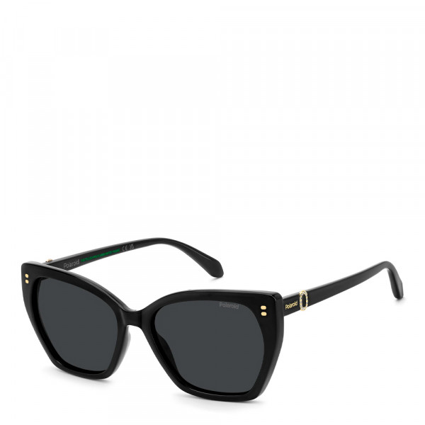 sunglasses-pld-4198-s-x