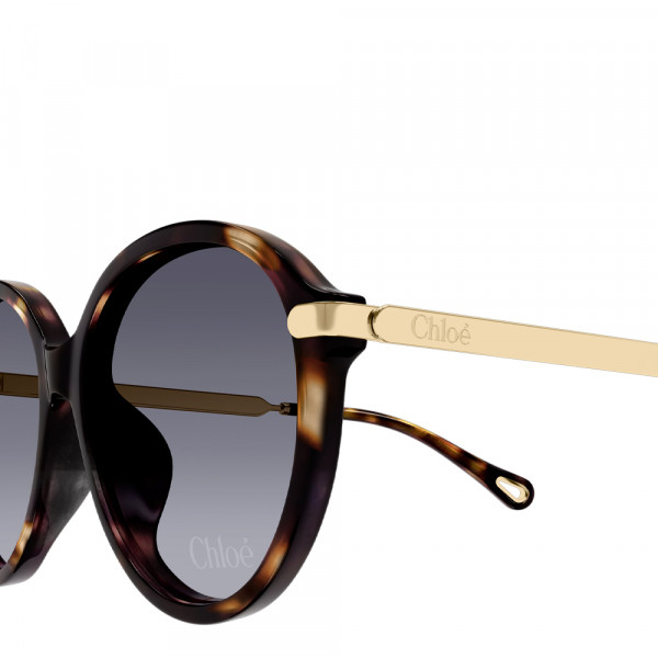 lunettes-de-soleil-ch0358sk