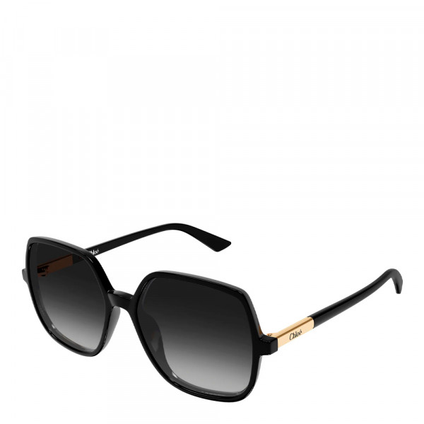 sonnenbrille-ch0362s