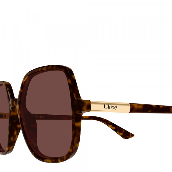 occhiali-da-sole-ch0362s