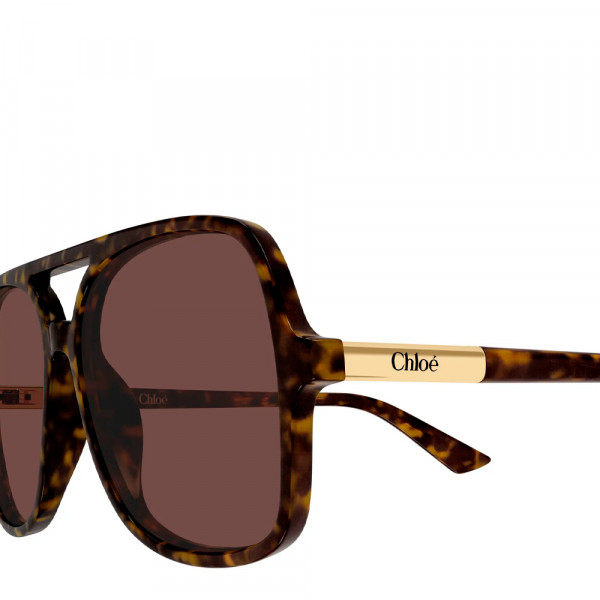 oculos-de-sol-ch0364s