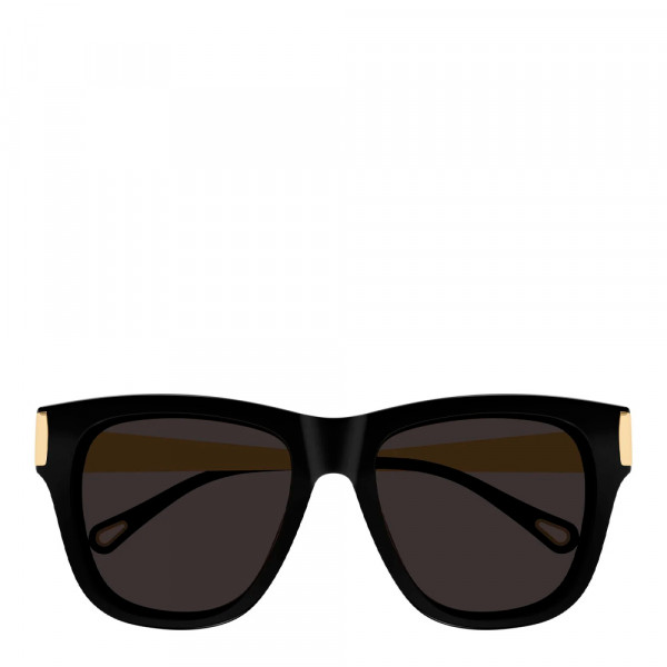 oculos-de-sol-ch0349s
