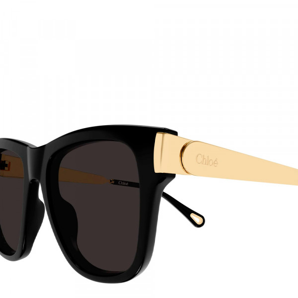 gafas-de-sol-ch0349s