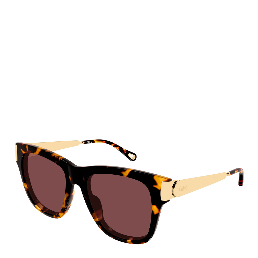 Chloe Women's Sunglasses For Sunglasses Ch0349s