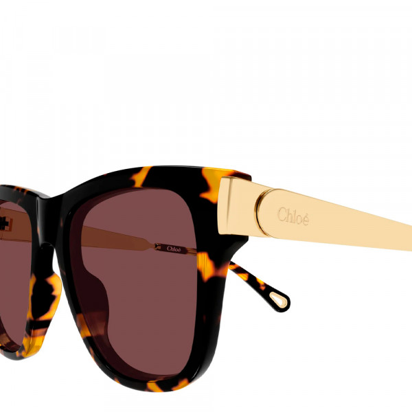 sunglasses-ch0349s