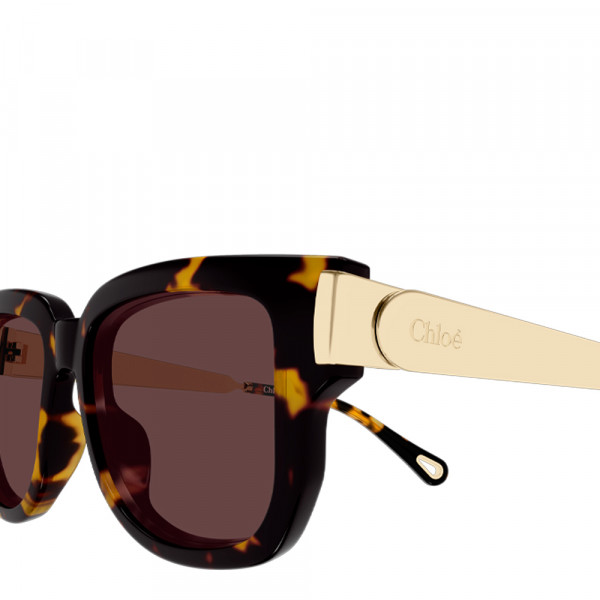 sunglasses-ch0351s