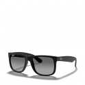 &Oacute;culos de sol Justin 0RB4165