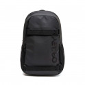MOCHILA THE FRESHMAN SKATE 20L