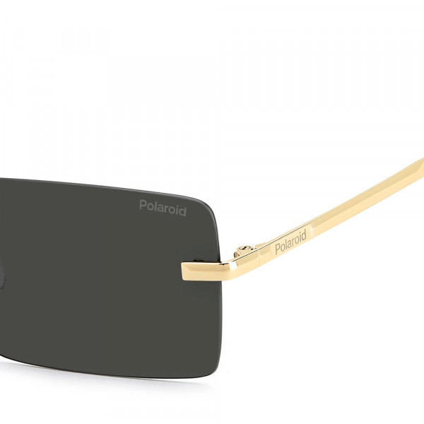 lunettes-de-soleil-pld-6245-s