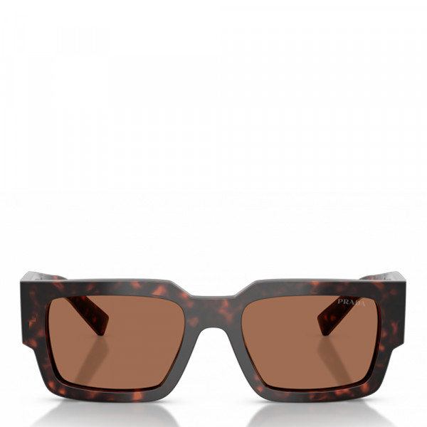 lunettes-de-soleil-root-0pr-b17s