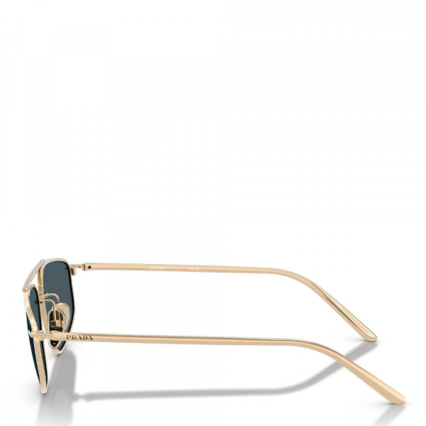 pale-sunglasses-0pr-c51s