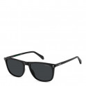 &Oacute;culos de sol PLD 4202/S/X
