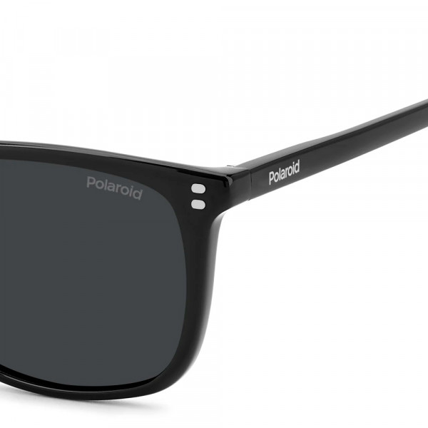 gafas-de-sol-pld-4202-s-x