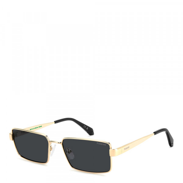 lunettes-de-soleil-pld-6255-s-x