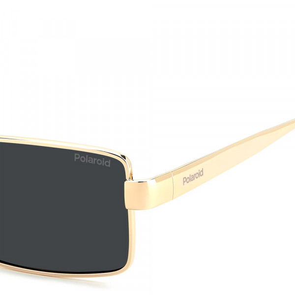 lunettes-de-soleil-pld-6255-s-x