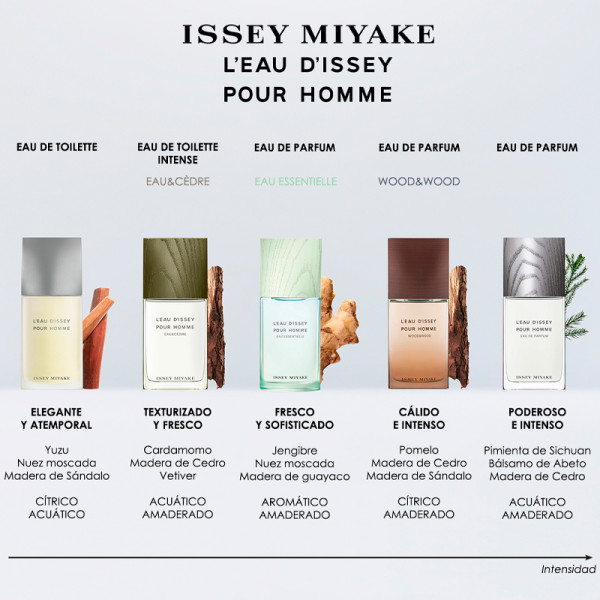 leau-dissey-pour-homme-eau-essentielle
