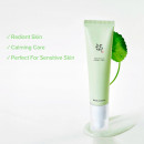 licht-auf-serum-centella-vita-c-aufhellendes-gesichtsserum
