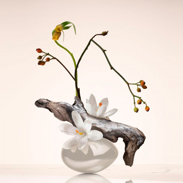 oud-nacre