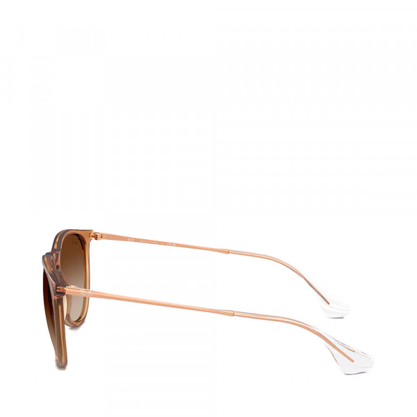 rb4171-erika-classic-sunglasses