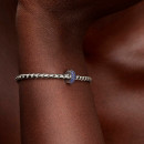 royal-blue-gems-clip-charm-794700c01