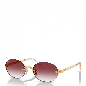 sonnenbrille-rb3929-von-aap-rocky