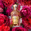aqua-allegoria-rosa-rossa-forte
