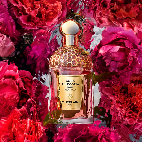 aqua-allegoria-rosa-rossa-forte